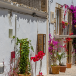 New Law to Legalize Properties on Rural Land on Ibiza in 2024