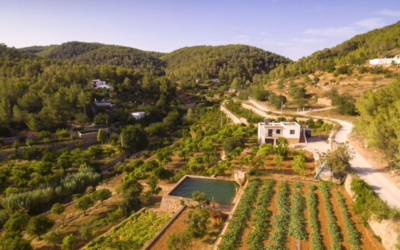 Discovering Cala Xarraca Ibiza: A Gem in the North