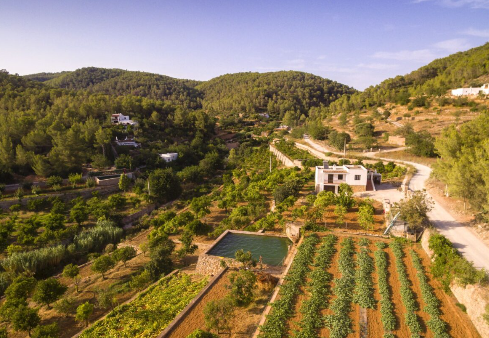 Discovering Buscastell: A Hidden Agricultural Gem in Ibiza