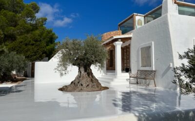 Home Buying Process in Ibiza: Key Steps to Your Dream Home