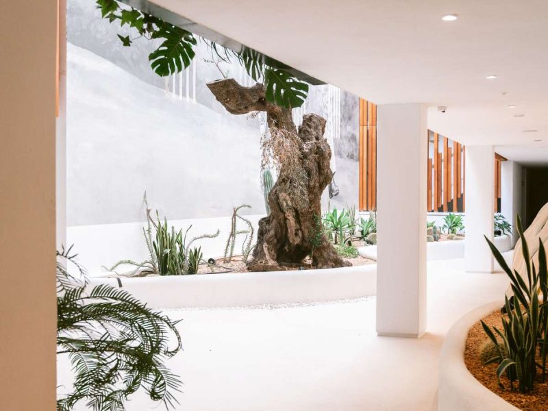 2-Bedroom Apartment in Playa D'en Bossa, photo 19