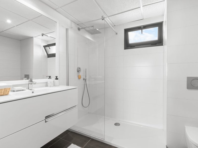 Second shower room with a long vanity and a walk-in shower