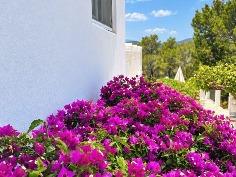 Can Paradis, villa bohemia de 4 dormitorios en Benimussa