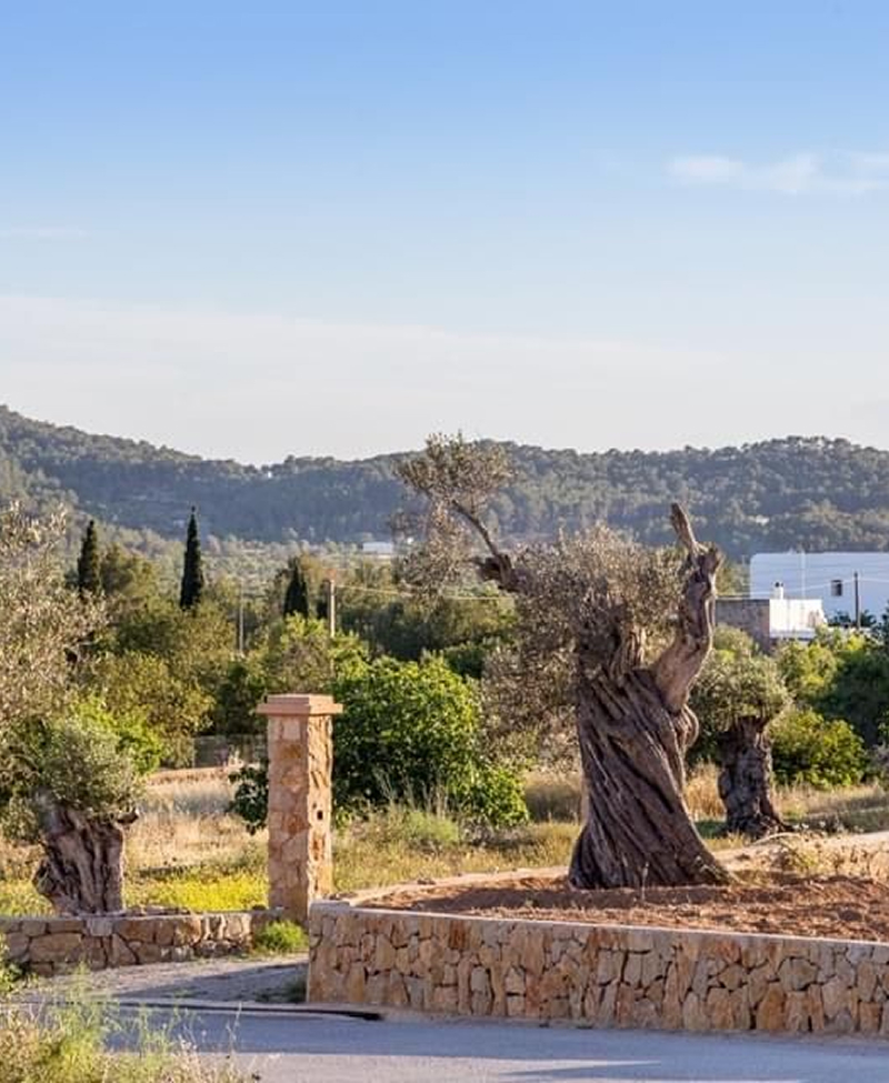 Santa Inés, Ibiza