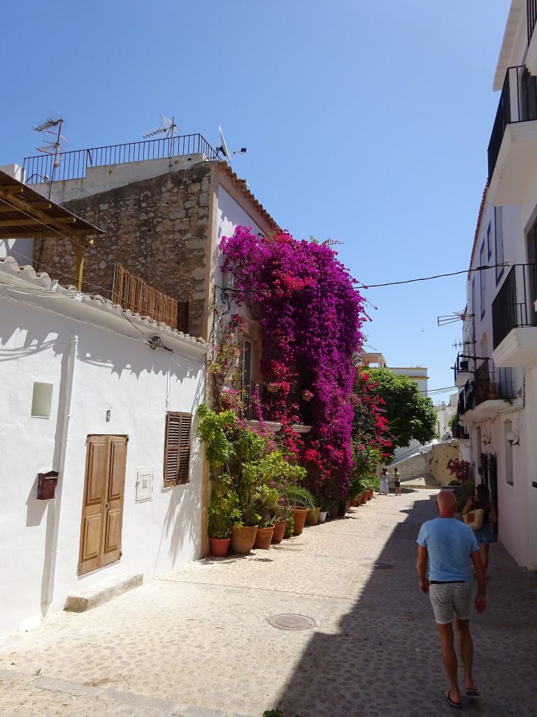 Whitewashed houses and bougainvillea on Carrer de la Conquista in Dalt Vila, Ibiza Whitewashed houses and bougainvillea on Carrer de la Conquista in Dalt Vila, Ibiza
